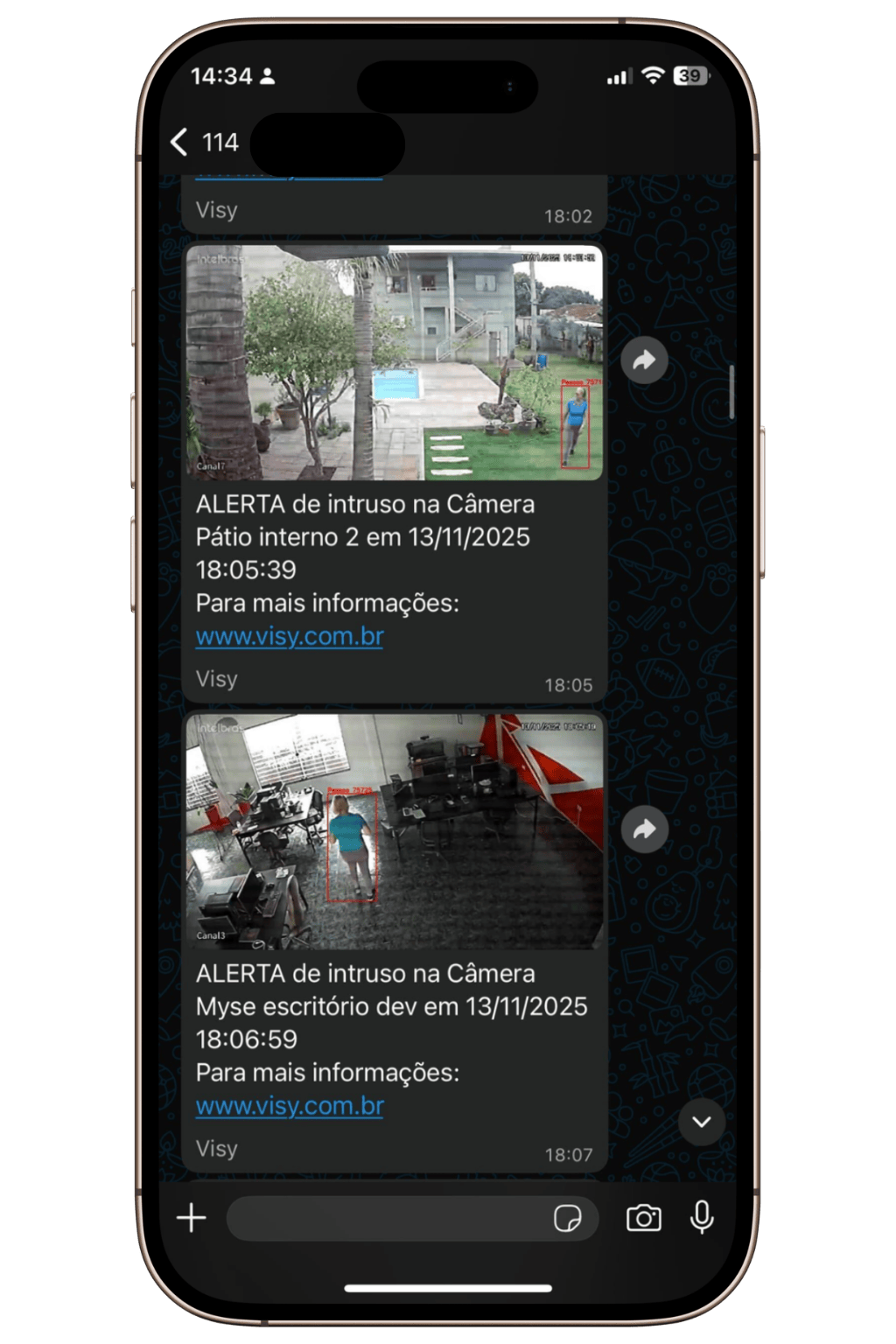 anti invasores